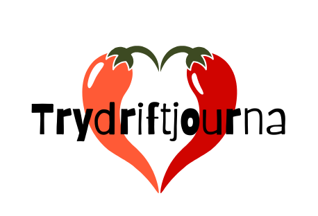 Trydriftjourna.click Logo